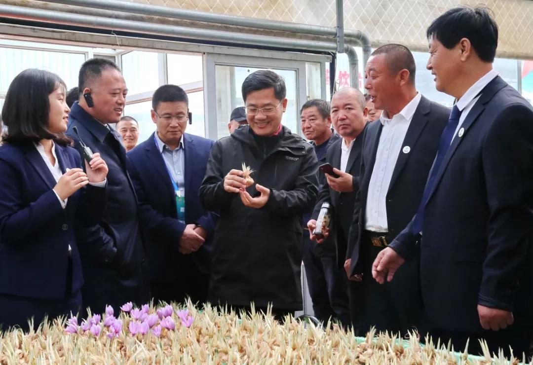 微信图片_20191021100148.jpg
