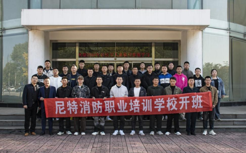 图片8